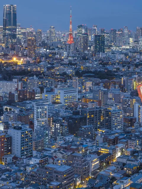  🌃 The Most Unbeatable Free Night View in All of Tokyo 🌃