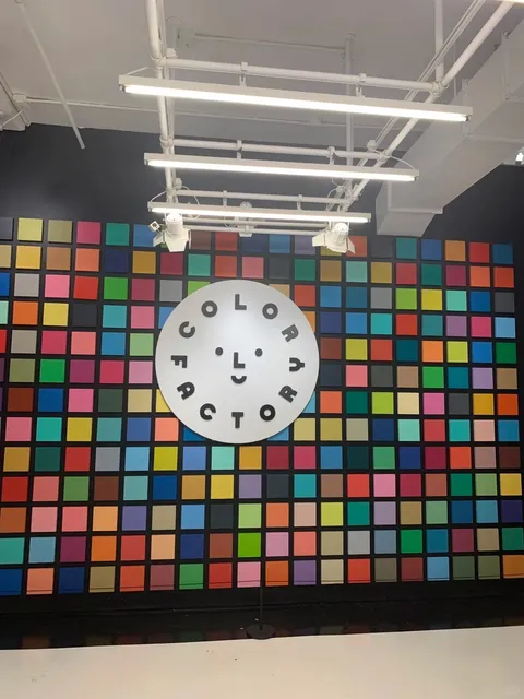 New York ✨🎨 Color Factory NYC