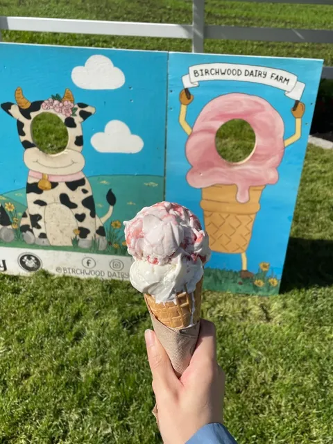 Birchwood Dairy Farm 🐄🪻🫧   