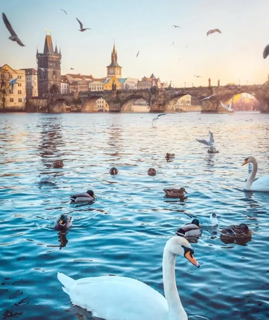 Prague: A Timeless Solo Dance Through History