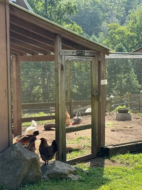 Weekend Escape from NYC｜Mountain Farm Retreat in Asheville, NC 