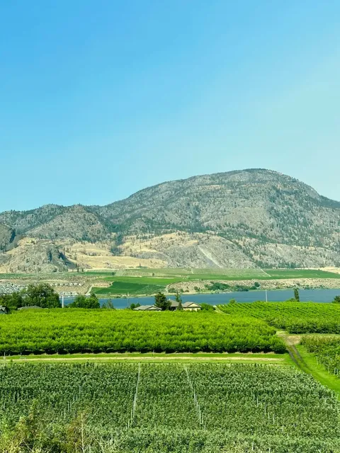 🇨🇦 Kelowna Agritourism | Okanagan Valley’s Bounty