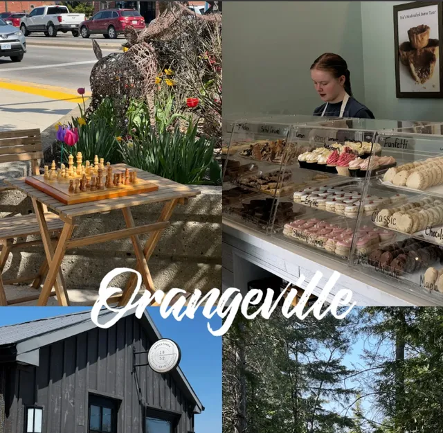 Orangeville Day Trip Guide | Charming Town Near Toronto ⛲️🌷