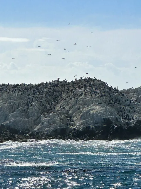 California Highway 1 Road Trip (Part 3) — Carmel-by-the-Sea