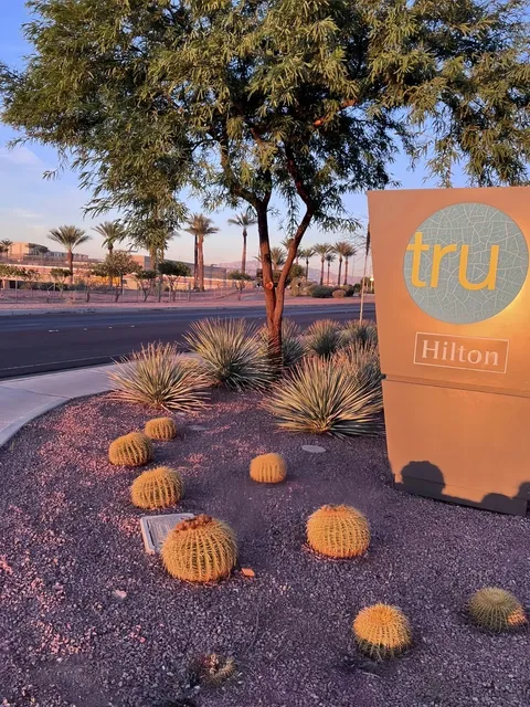 Budget-Friendly Hotel Near Las Vegas Airport 🛬