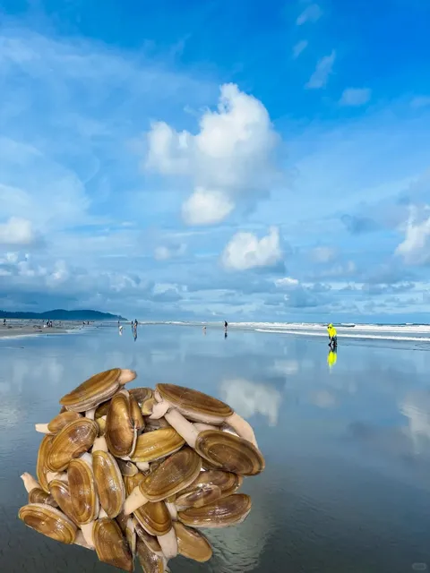  A Complete Guide to Camping and Razor Clam Digging