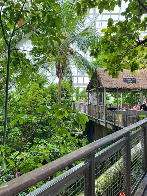 ☀️ Houston’s Ultimate Summer Kid-Friendly Escape! 🐠