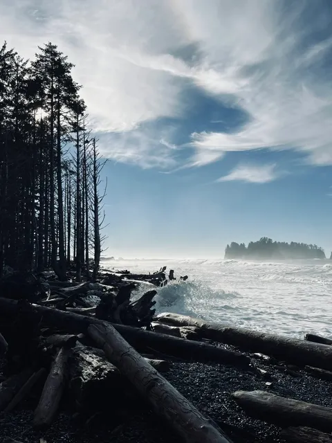 🌲 Ruby Beach: Where Twilight Magic Meets Wild Coastal Drama （1）