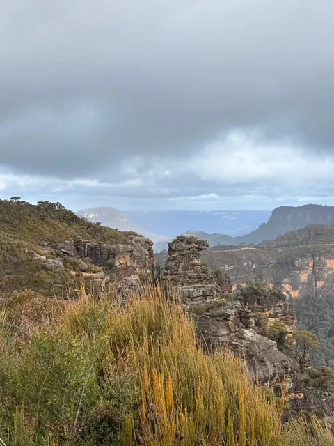 🇦🇺 My Rainy Sydney Adventure (with Some Regrets) 🌧️