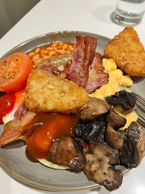 A Cozy Luxury Hotel with Friendly & Helpful Staff 🏨💫