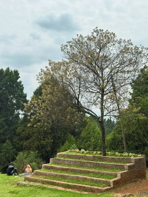 🇪🇹 Ethiopia’s Most Stunning Botanical Garden!