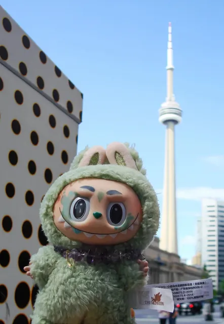 🇨🇦 Who Says You Can't Take Adorable Photos in Toronto? 📸✨