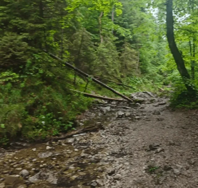 🏞️ Slovak Paradise National Park: Ice Caves & Wild Trails