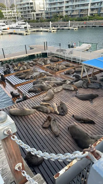  Cape Town City Drive