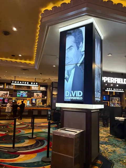 A Trip to Las Vegas to See David Copperfield ✨