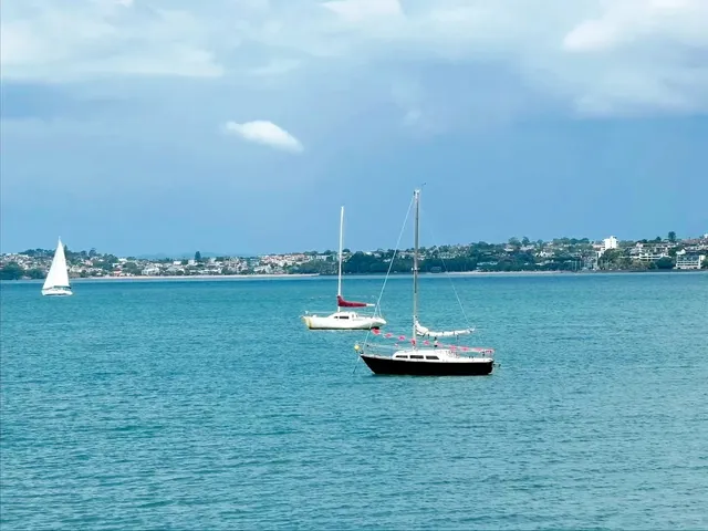 Auckland Citywalk 🇳🇿 | One-Day Itinerary Guide