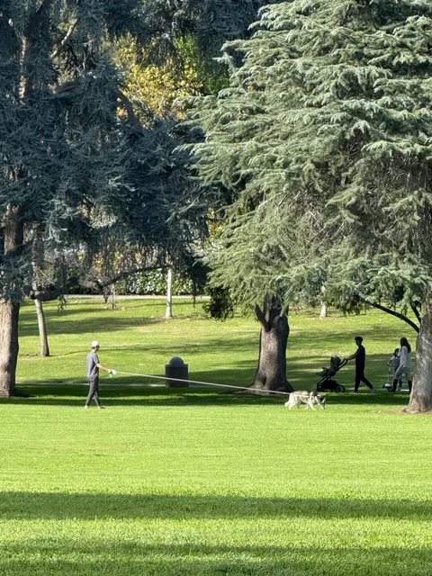 Lacy Park in San Marino – LA’s Best Park for Dogs, Kids, and Chilling 