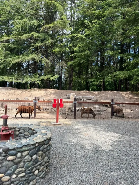 Sonoma TrainTown Railroad