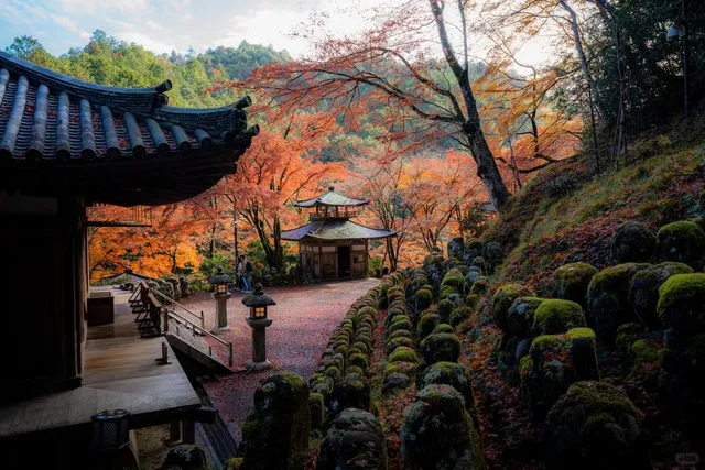 Kyoto Temple Recommendations  