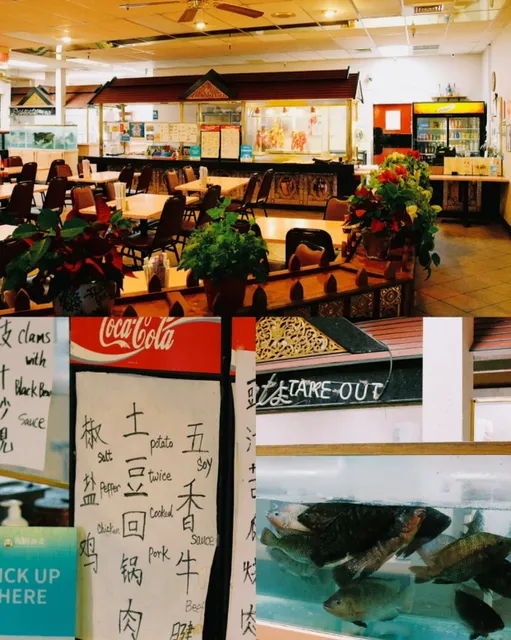 Phoenix City✨｜Authentic and affordable traditional Chinese cuisine!