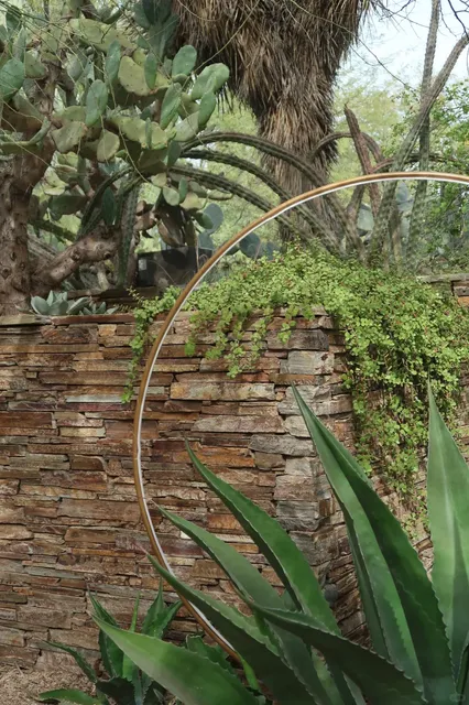 Phoenix Travel | 🌵 A Magical Oasis in the Desert Botanical Garden