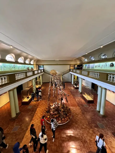 🇰🇪｜Nairobi's Hidden Gem: The National Museum (Fun + Photogenic!)
