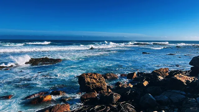 📍 The Edge of the World - Cape of Good Hope | Ultimate Guide 🌊🧭