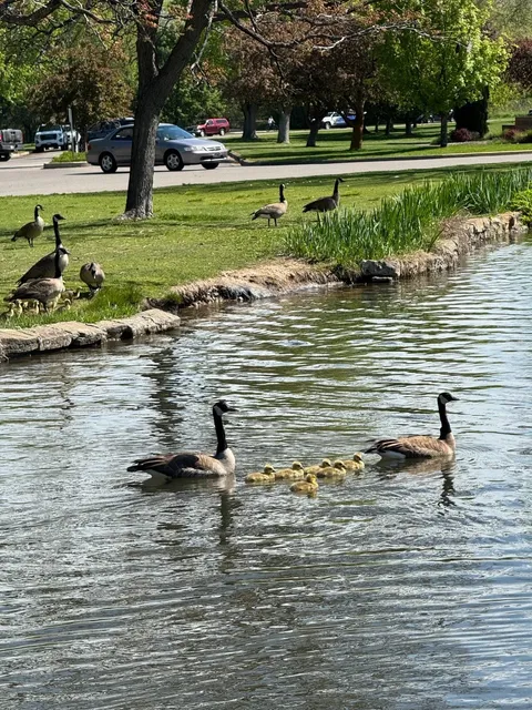 Traveling with Dogs 🐶｜Boise, Idaho