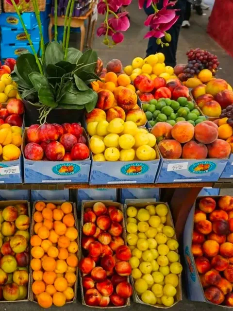 🇳🇿 Cromwell Bucket List: 11 Must-Do Experiences 🍒