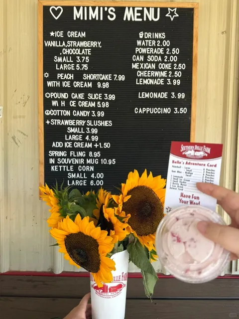 🇺🇸 Day Trip from Atlanta｜Sunflower Field + Peach & Berry Picking 🌻