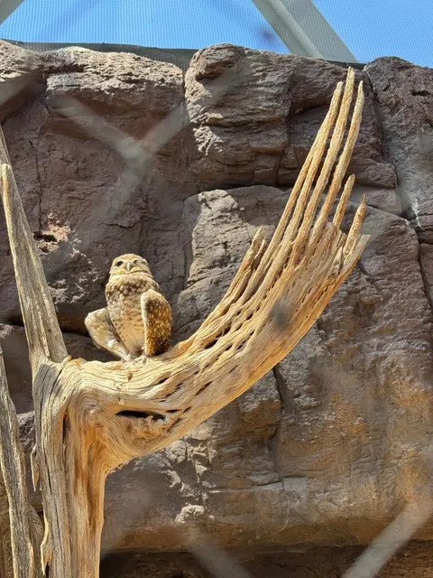 Unexpected Delights in Omaha