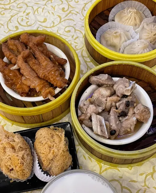 🇺🇸 Enjoy morning tea at Joyful Garden in Watertown, Boston