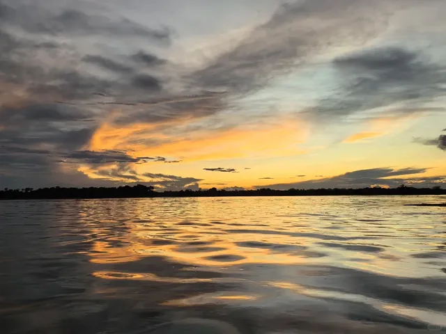 Brazil - Amazon Rainforest - Manaus🌴