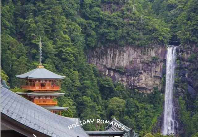 🌸🐟🌅  Japan | How to Explore Wakayama🗾🚃🏯