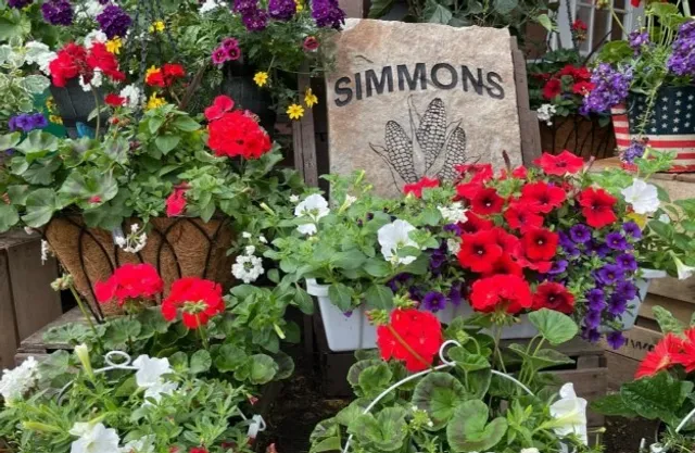 Simmons Farm 🍓🌳 | Your Go-To Pick-Your-Own Paradise in Pennsylvania!