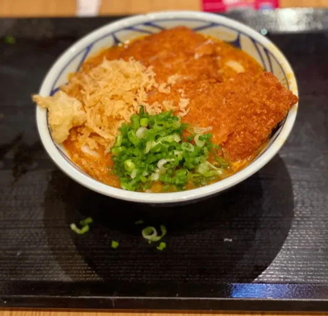 Food Exploration at SD UTC: Tomato Curry Chicken Cutlet Udon!