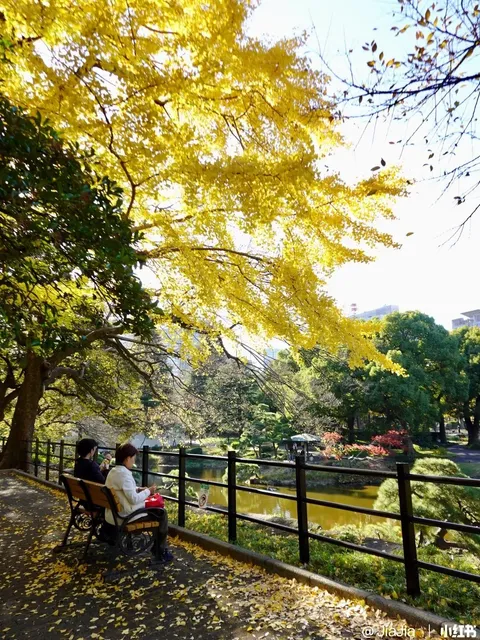 Hibiya Park & Matsumoto Building 🍂