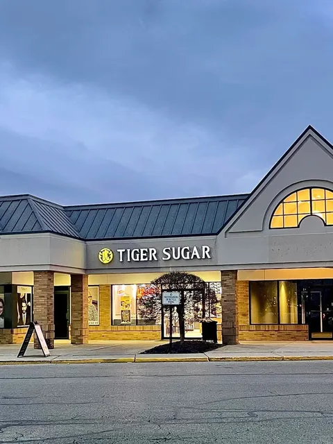 Cincinnati Food Discovery | Tiger Sugar 🧋✨