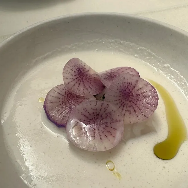 New York | Llama San