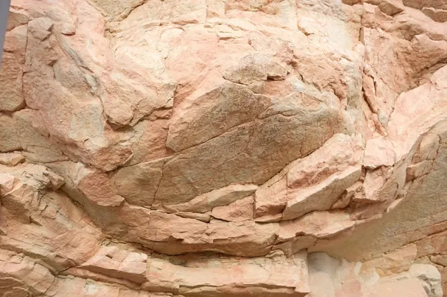 Denver Must-See: Walk with Dinosaurs! 🦖✨