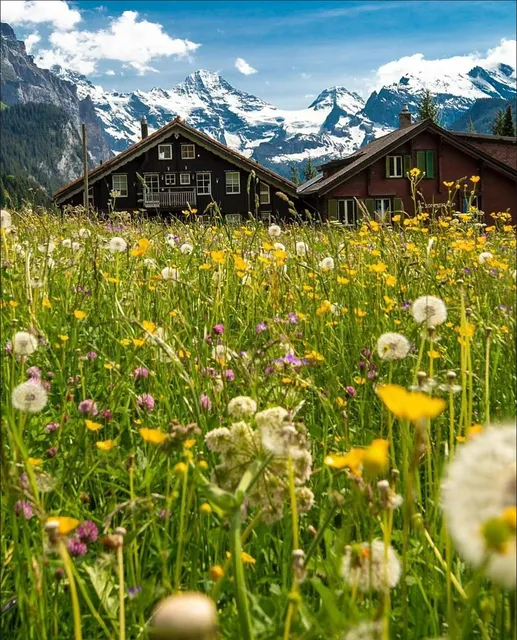 A wonderful place:the Alps
