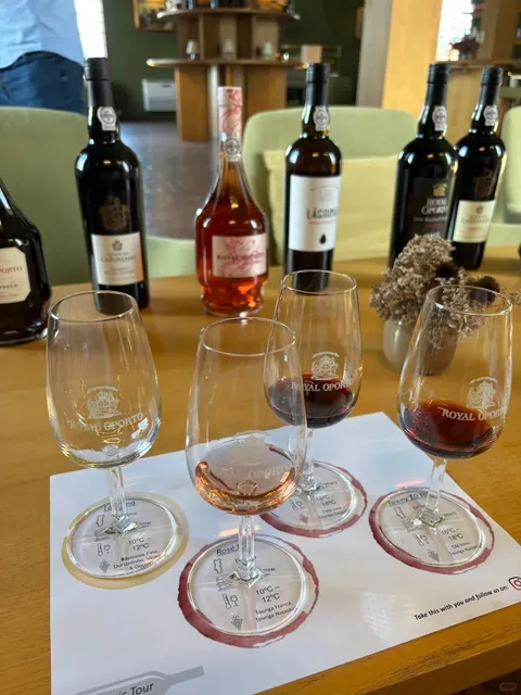 ​​🍷 Porto Wine Tasting at Real Companhia Velha - A Royal Experience!!