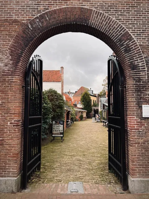🇳🇱 Travel Guide | Experience Dutch Charm in Historic Haarlem