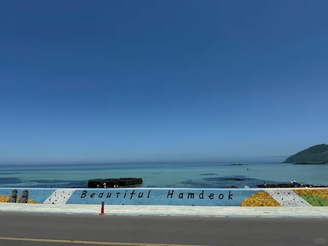 Jeju Island Vlog: 4D3N Trip with 2 Adults 