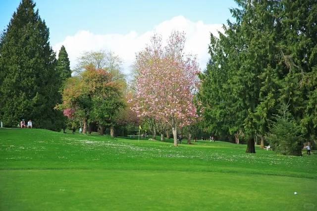 Vancouver Outdoor Activity Recommendation | Pitch and Putt