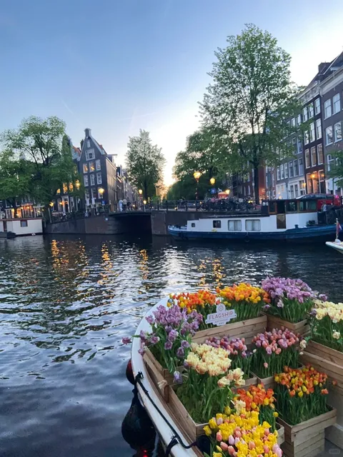 🇳🇱 Amsterdam: A City of Freedom & Romance (Travel Guide)
