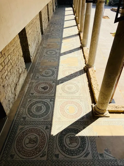 The Millennium-Old Roman Villa with Mosaic Floors 🏛️✨（2）