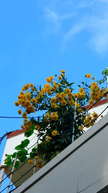  Busan Pass Perk! Free Hanbok Experience at Gamcheon Culture Village 