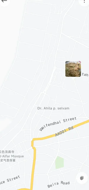 Colombo’s 12 CNY Fried Rice: Ultimate Budget Find 🍚