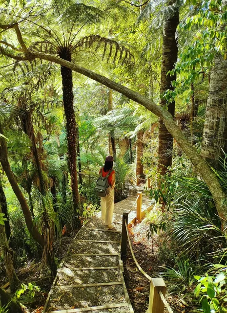 🌿【Auckland Hidden Gem｜Kitekite Falls Hike】🌿